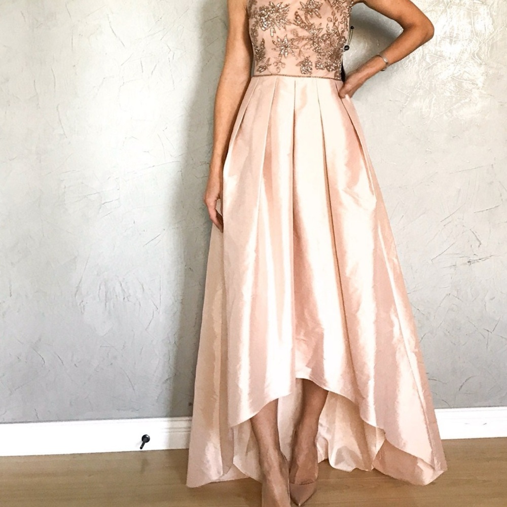 Adrianna Papell Blush Gown with Sequin Embellishments